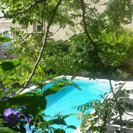 Tautavel L'Ile Aux Mimosas Bed & Breakfast エクステリア 写真