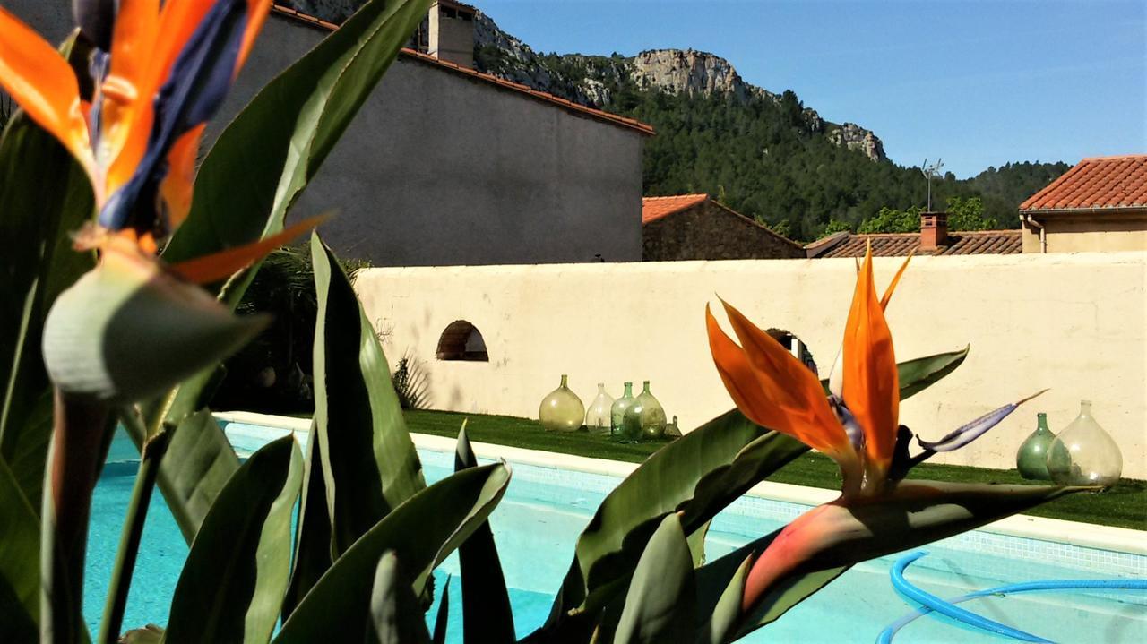 Tautavel L'Ile Aux Mimosas Bed & Breakfast エクステリア 写真