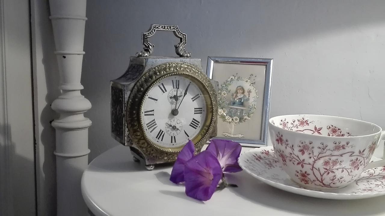Tautavel L'Ile Aux Mimosas Bed & Breakfast エクステリア 写真