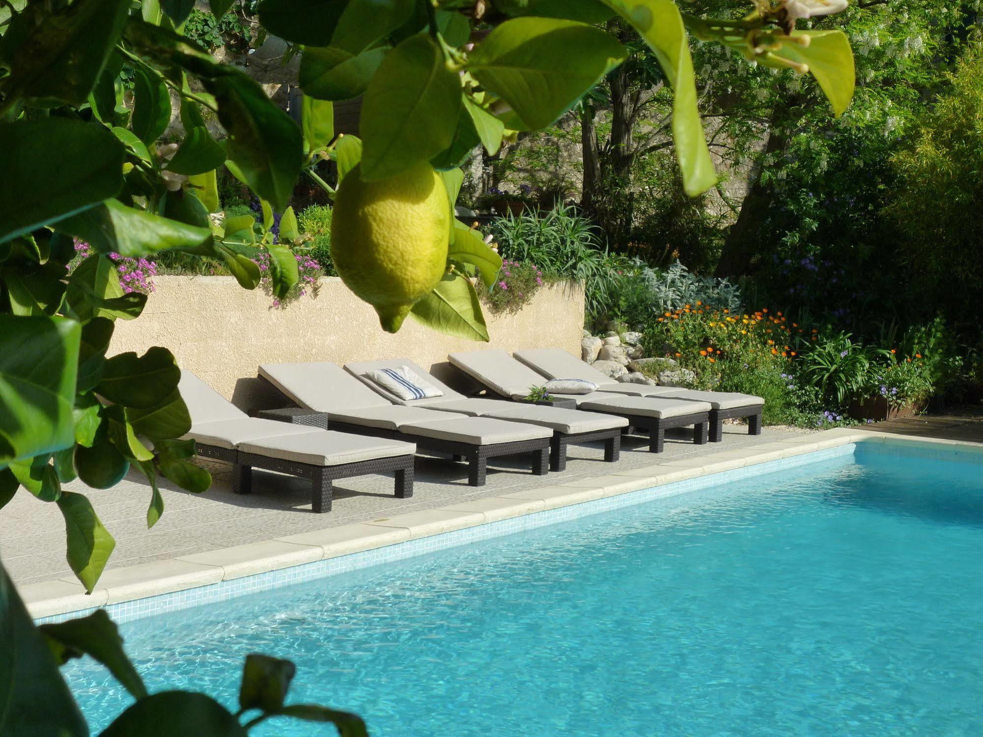 Tautavel L'Ile Aux Mimosas Bed & Breakfast エクステリア 写真