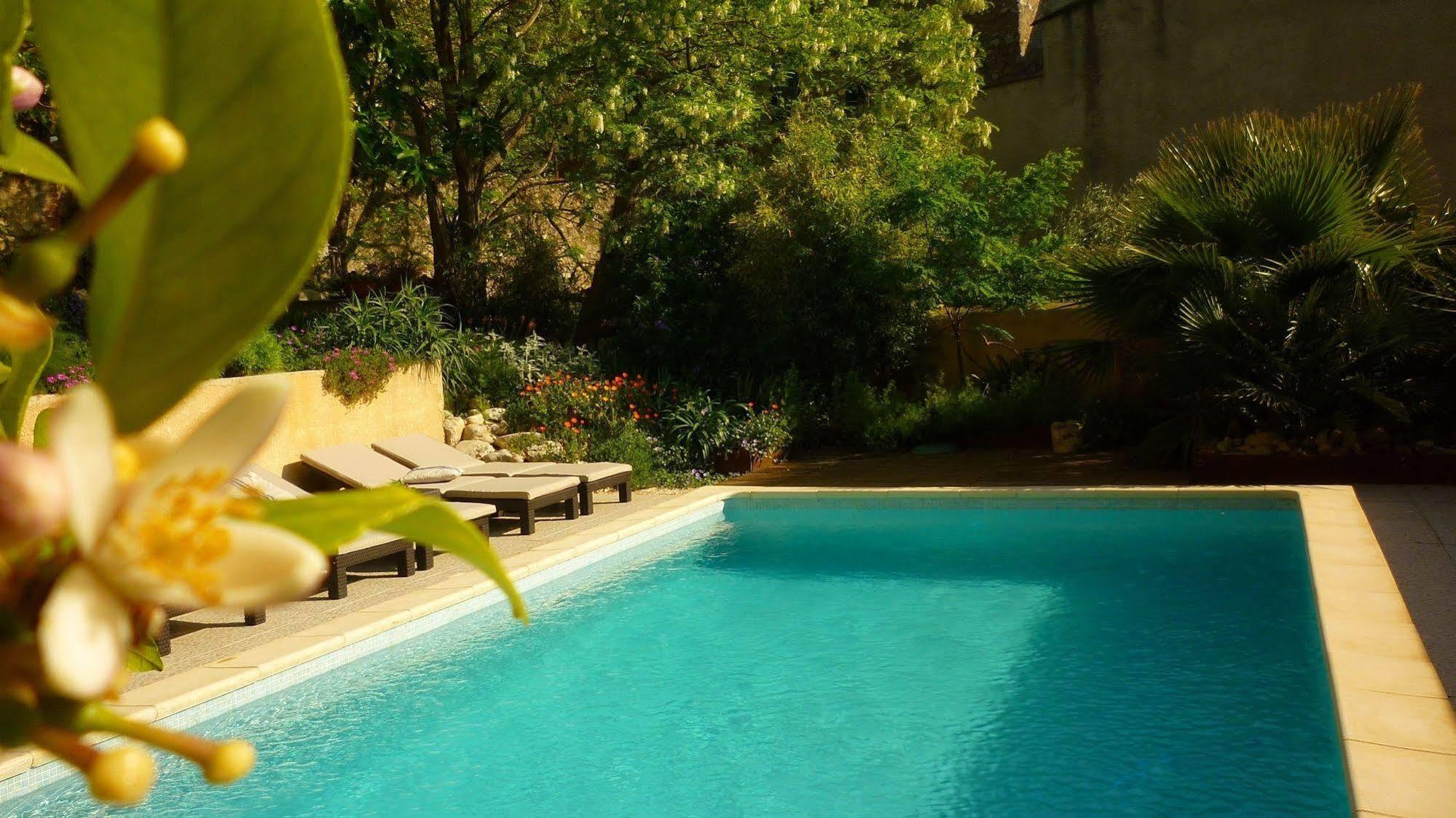 Tautavel L'Ile Aux Mimosas Bed & Breakfast エクステリア 写真